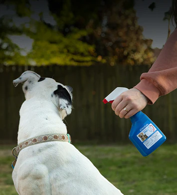 Trusted Care For Every Animal